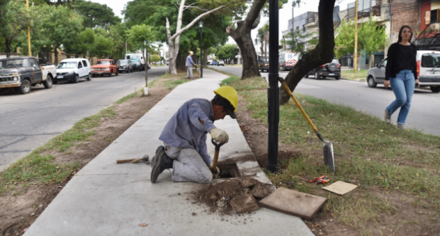 Avenida Galicia: las obras avanzan en un 35%