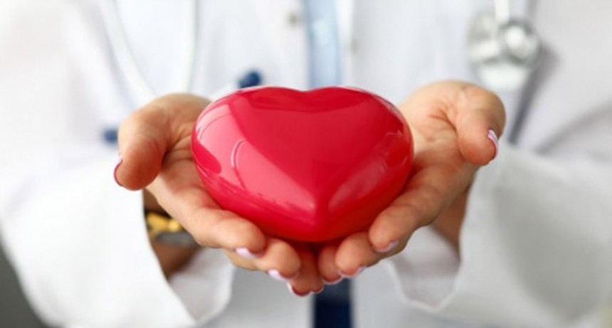 Santa Fe tuvo el primer semestre con m&aacute;s donantes de la historia