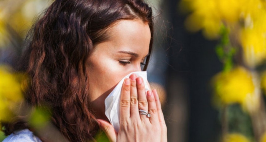 Alergias en primavera: recomiendan minimizar la actividad al aire libre y cerrar ventanas